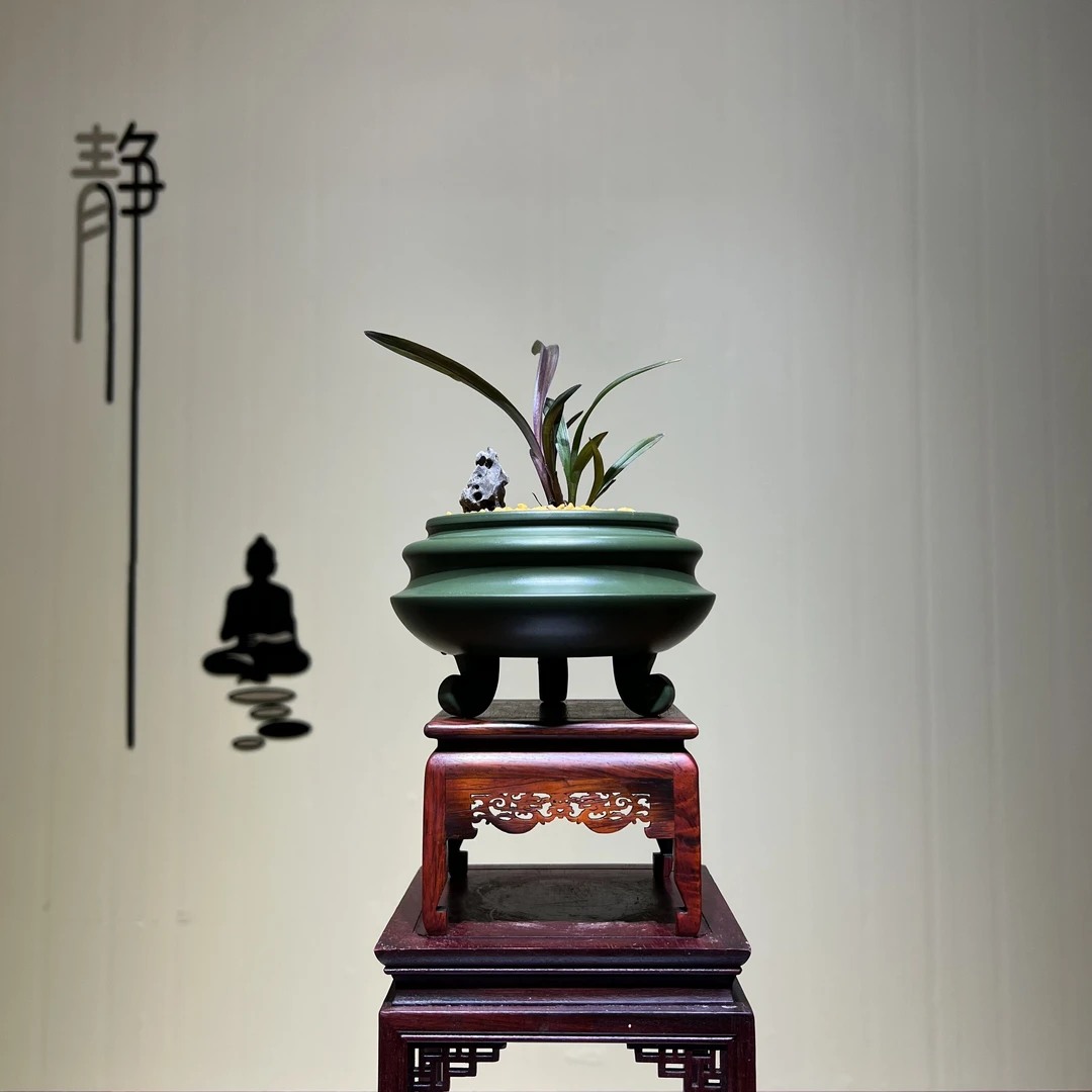 精品【红草红彩】展示古风国韵茶室客厅精致小盆栽观赏兰花兰花草