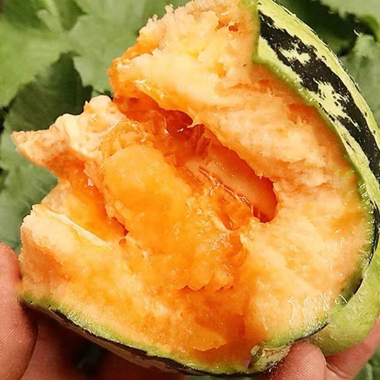 冰糖子甜瓜种子大全香瓜籽甜瓜夏季耐热种籽四季春季绿宝羊角蜜瓜