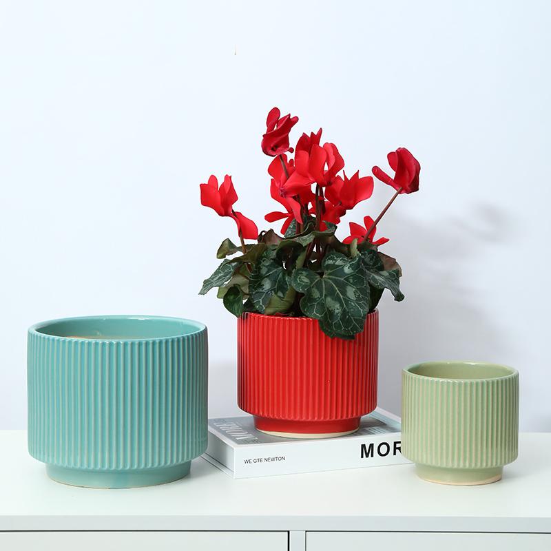 蝴蝶兰花盆 头条搜索