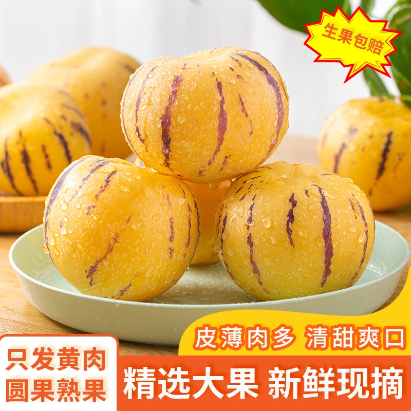 【2】云南人参果新鲜采摘当季甄选爽口香甜自然成熟皮薄新鲜水果