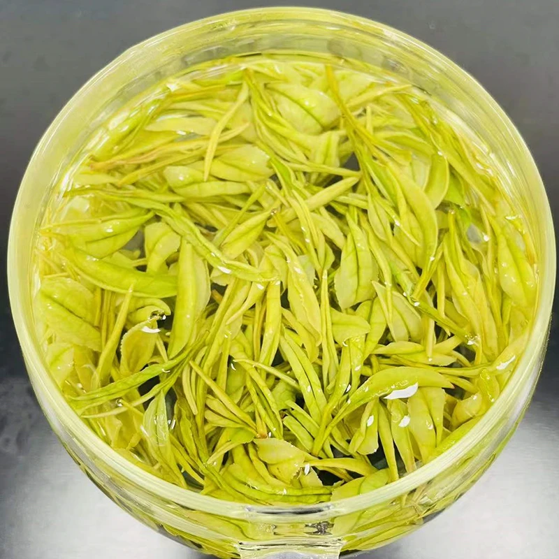 极美树2023年新茶A53(库存紧张)母本极白 原产地极美树高山白茶