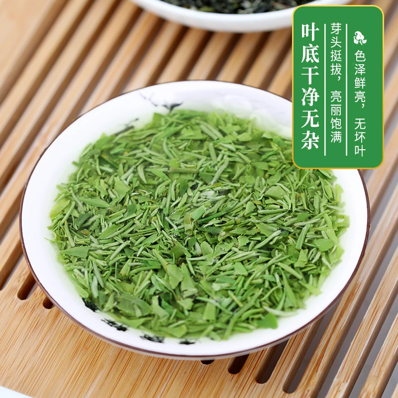 国乐正宗信阳毛尖新茶明前断芽高碎茶绿茶2025年茶沫口粮茶500g