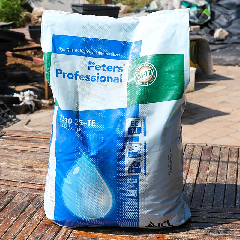 花多多3号 多肉植物花肥花朵朵通用家用花肥料叶面肥水溶微量元素