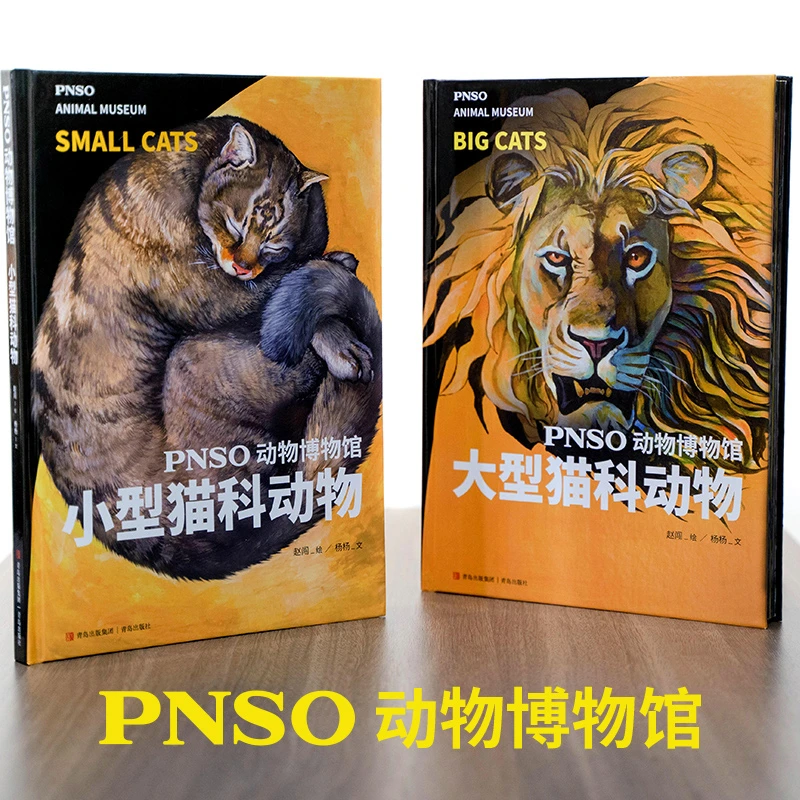 PNSO动物博物馆 大型猫科动物+小型猫科动物 把博物馆带回家