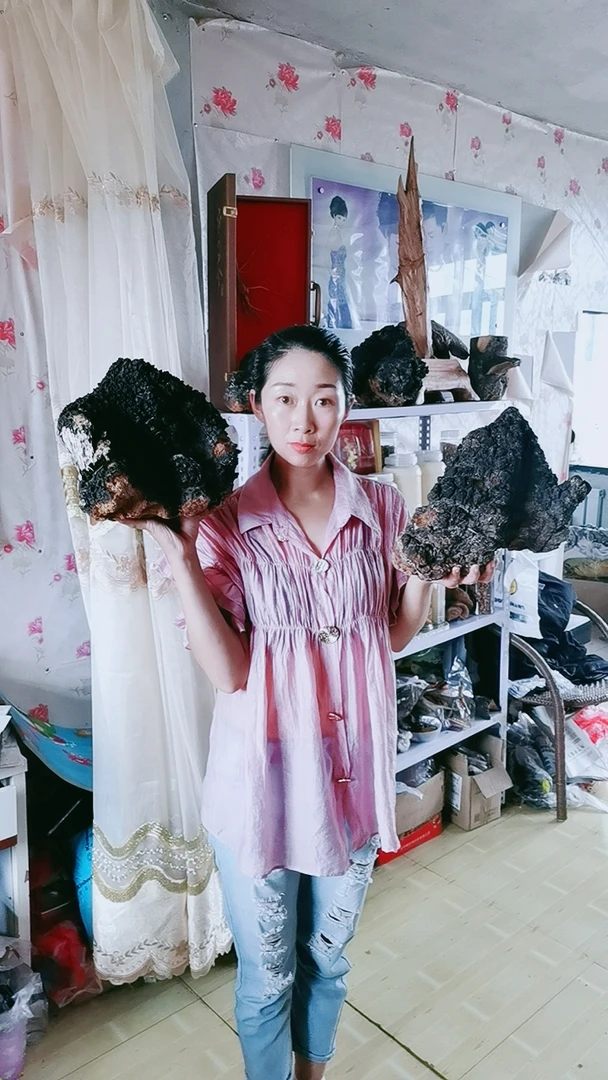 饶河深山桦树茸菇500克