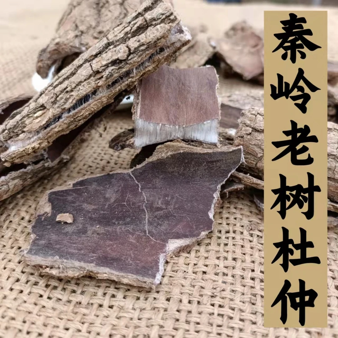 杜仲  甘肃秦岭深山老树杜仲 胶丝杜仲50克包邮 可搭配枸杞