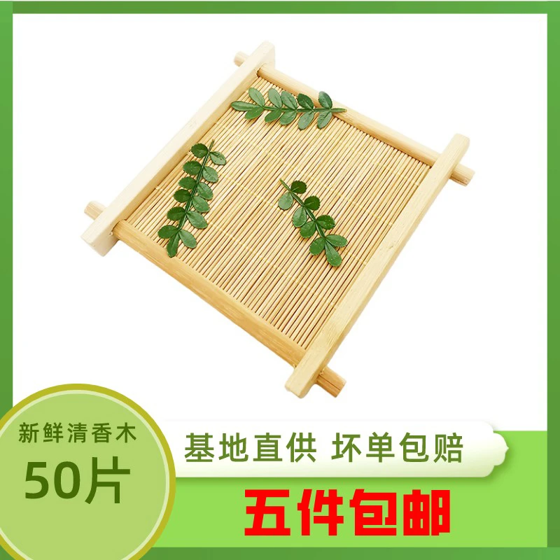 新鲜清香木 香叶子 胡椒木 50片g 酒店西餐日料烘焙摆盘装饰点缀