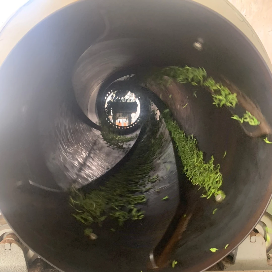 东阳春无公害认证花香或豌豆鲜好茶