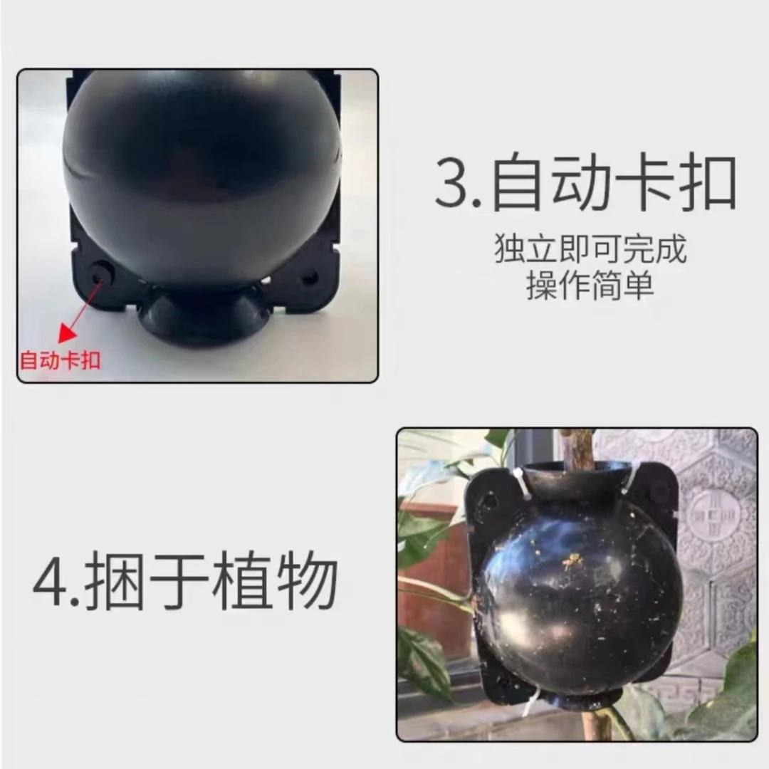 植物高压繁殖器   高压枝条  繁殖枝条