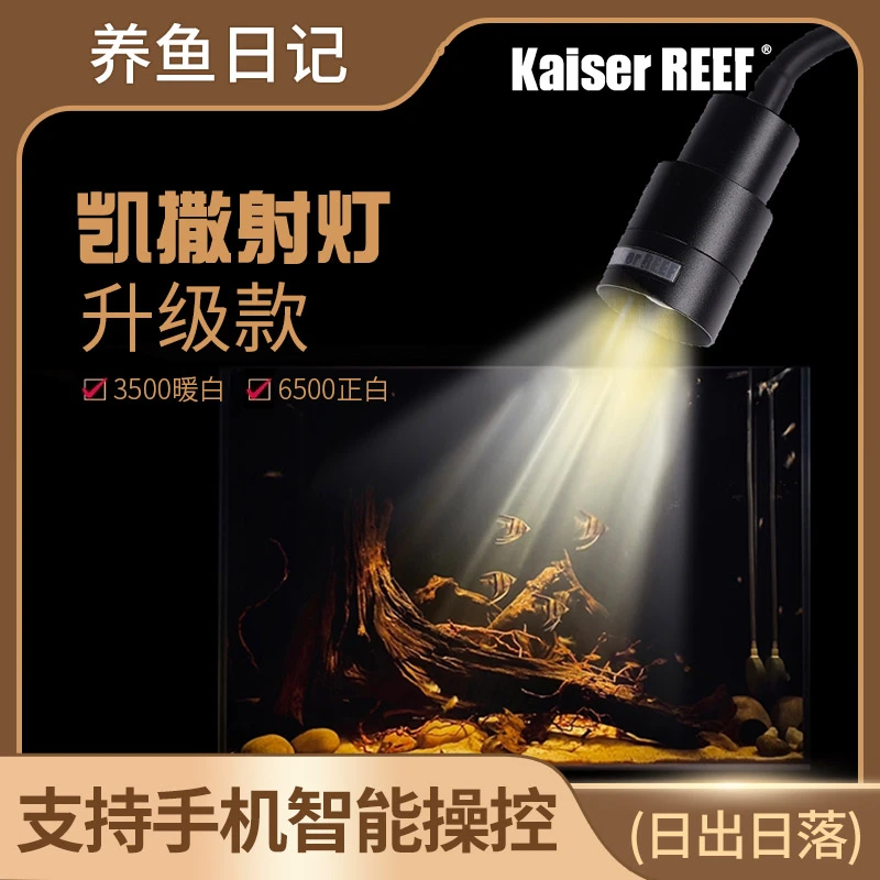 养鱼日记凯撒原生南美异形鼠鱼缸三湖水草龟缸LED 射灯夹灯观赏鱼