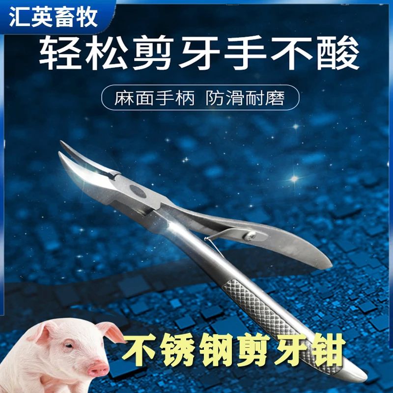 小猪剪牙钳牙齿猪用给兔子剪牙器钳子不锈钢兽用仔猪牙剪断齿尾钳