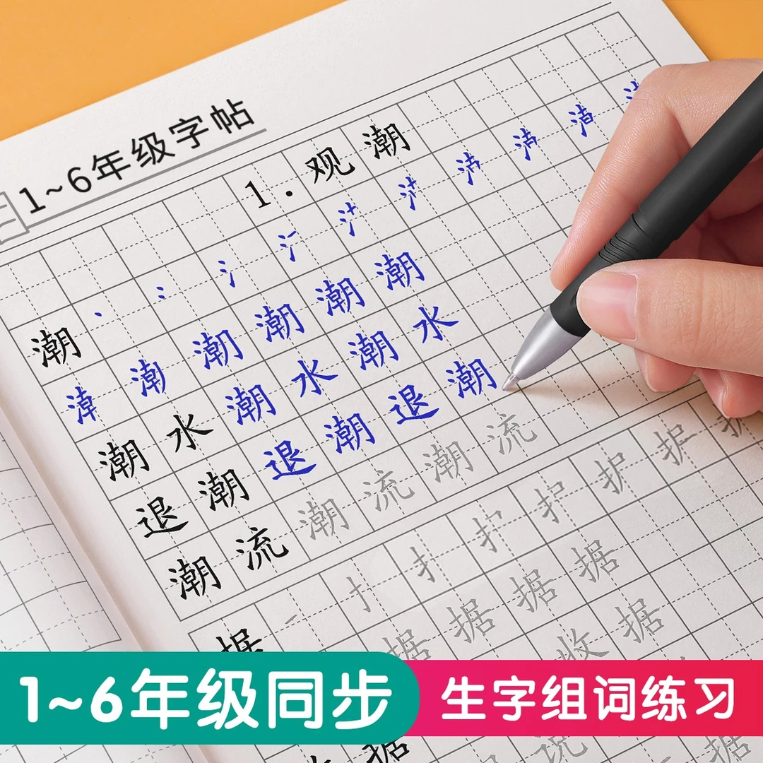 1-6年级生字组词 课本同步小学生练字帖 每日一练笔顺规范赠送LZ