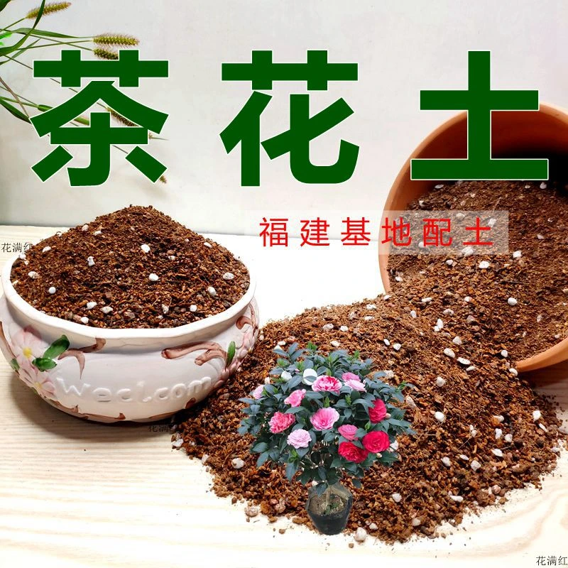 茶花专用土家庭桂花杜鹃花花卉绿植生根盆栽鲜花养花通用型营养土