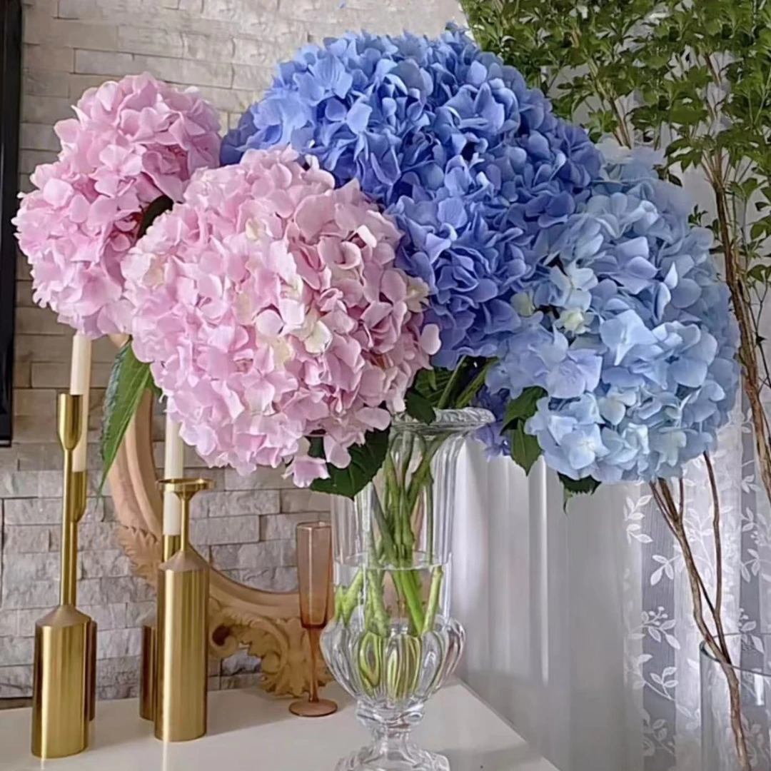 【绣球花】绣球深水养护 京东包邮 零度以下拍保温