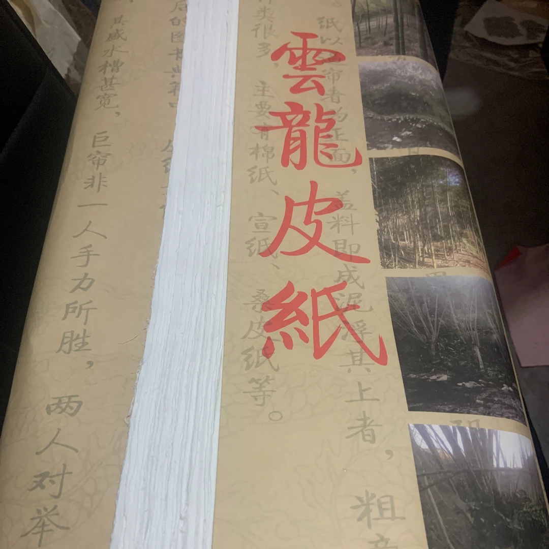 云龙皮纸加厚四尺六尺八尺皮纸长粗纤维半生半熟书法国画创作皮纸