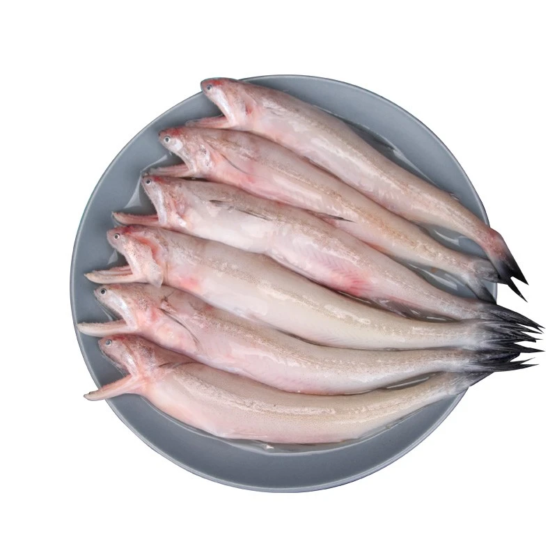 【我=水 嫩嫩滑滑】广东汕尾港近海豆腐鱼3斤/5斤