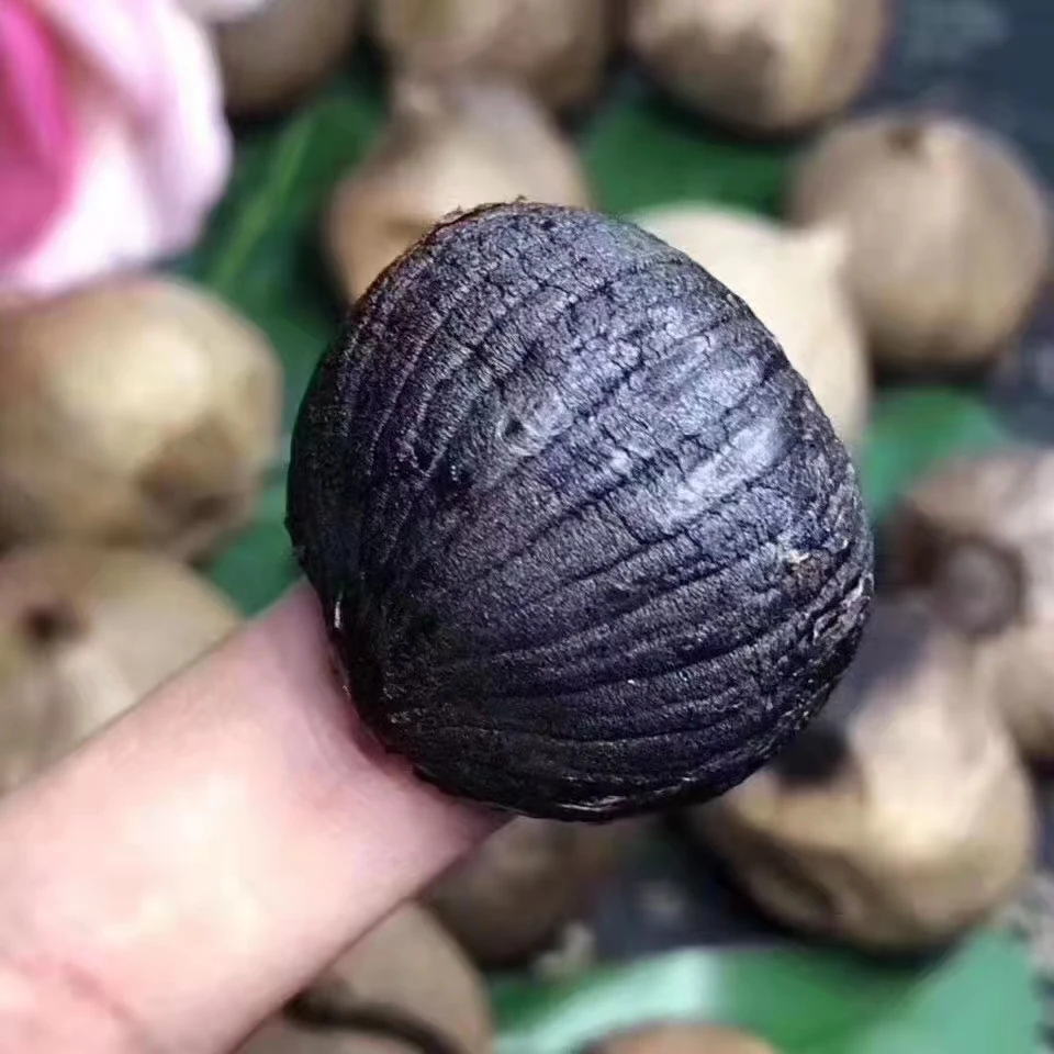 珠海龙发 黑蒜一罐