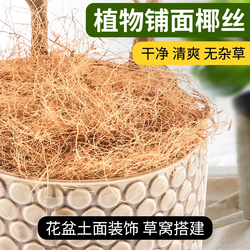 椰丝铺面盆景铺面草花盆土面装饰草丝鸟窝草窝椰丝垫料盆栽椰棕丝