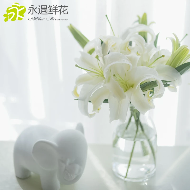 【西伯利亚白色百合】 1个邮费可以买全店任意4把鲜花
