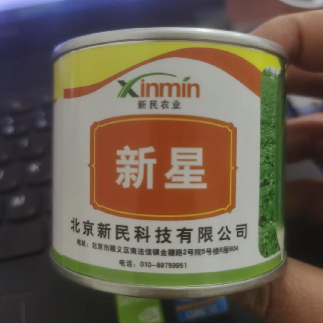 鑫红麟新星水果萝卜种子