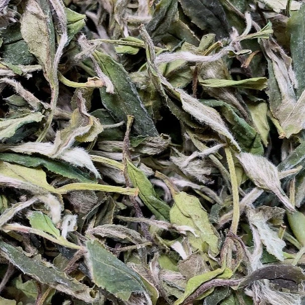 【招牌牡丹】2022荒野牡丹花香白牡丹袋装一芽一两叶 50克 500克