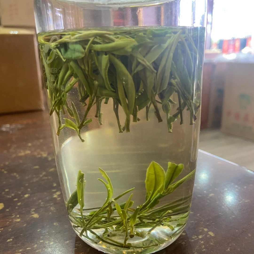 明兰香A19号，2023年新茶自家茶园爆款绿茶250克-500克