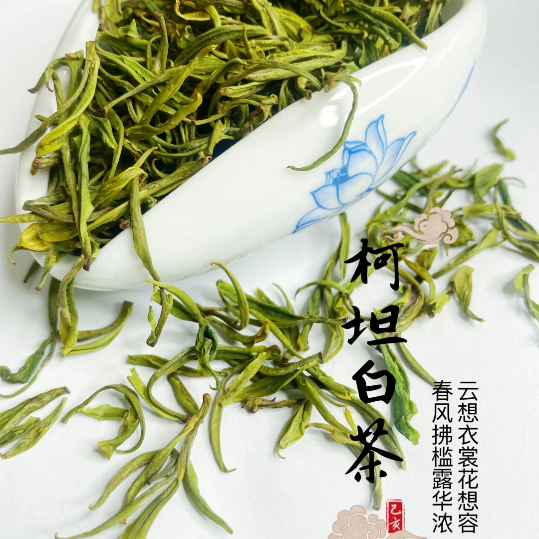 24年新茶【柯坦小兰花】~白兰~白茶兰花香手工采摘好喝好茶精品品质