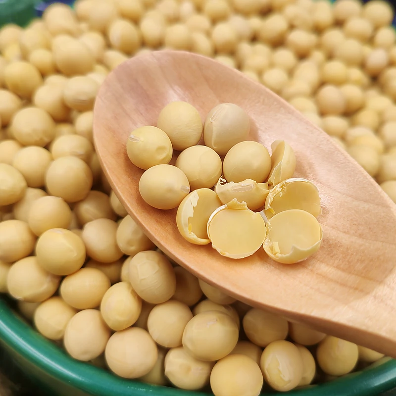 正宗东北黄豆 黑龙江特产非转基因新黄豆大粒打豆浆发豆芽2斤/5斤