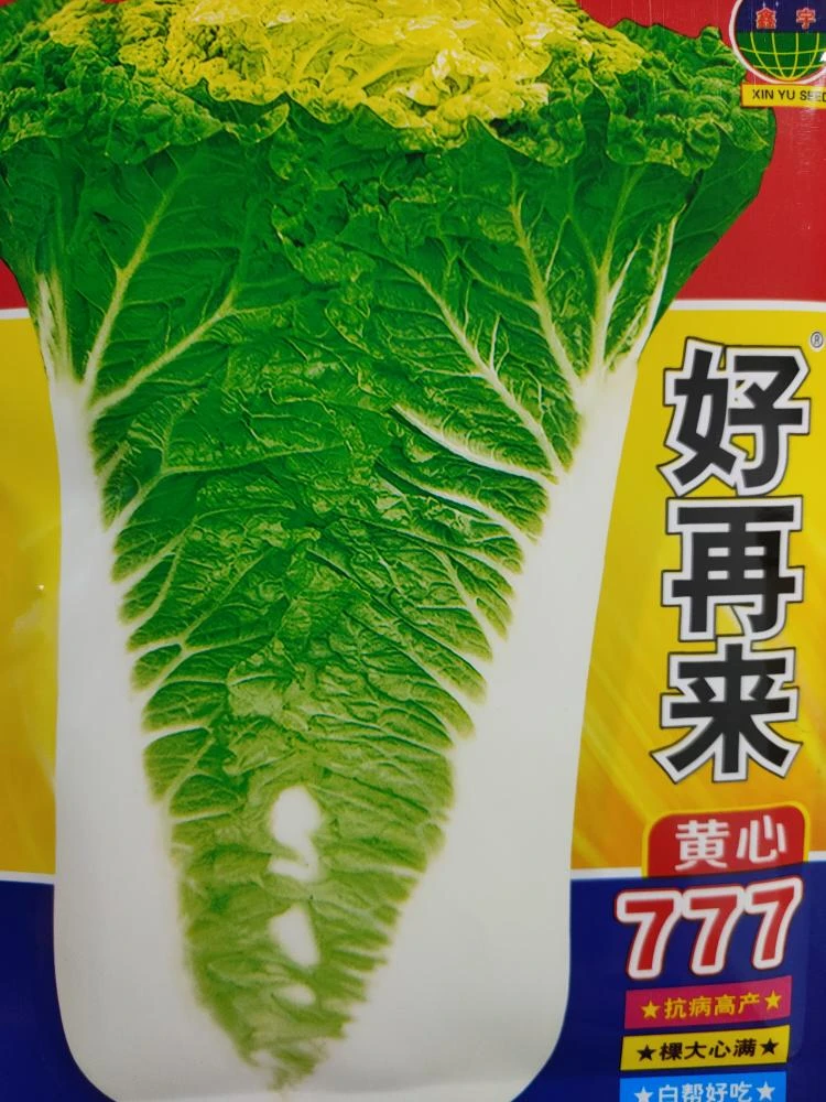 好再来黄心777大白菜种子