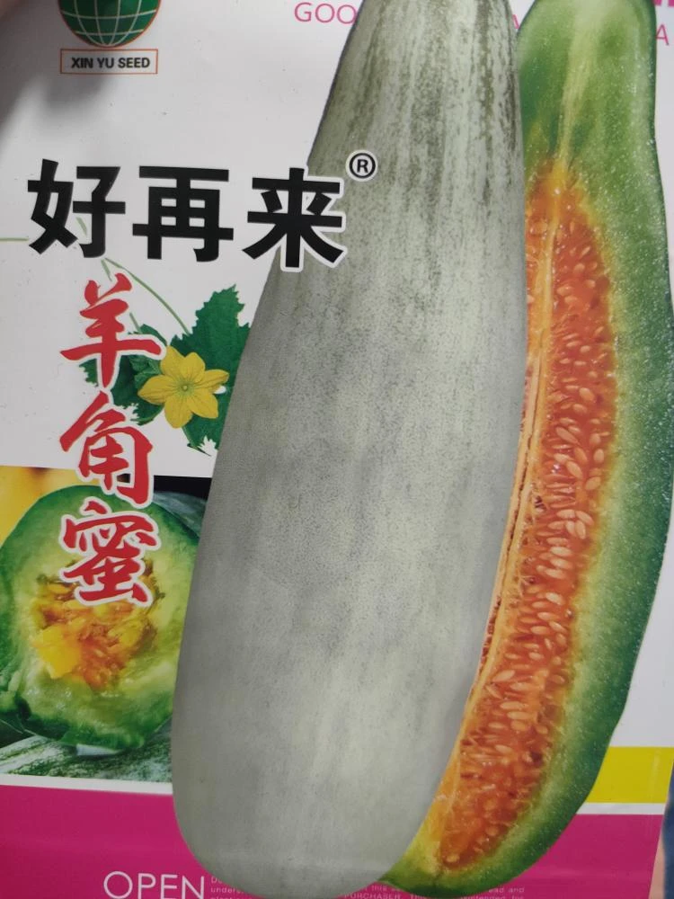 羊角蜜甜瓜拍一发二