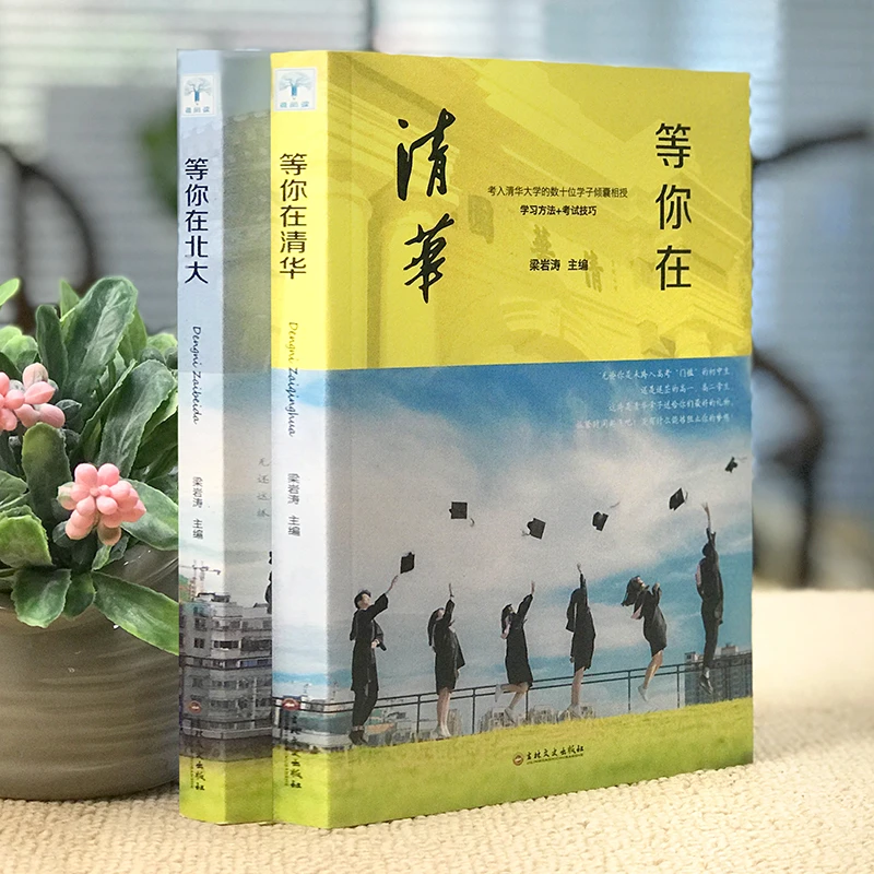 等你在清华 等你在北大 正版书清华北大在等你套装中考高考学习