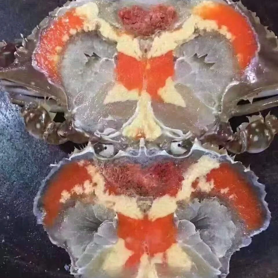 海哥推荐舟山豪华小飞机红膏咸呛蟹，单只净重2.8-3.7两一只，生吃