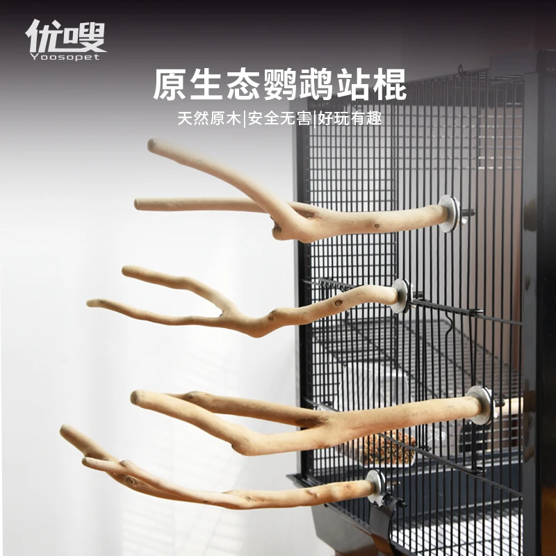 鹦鹉鸟复古站棍原木站架木棍脱皮原生磨爪磨嘴站木实木架树杈颜值