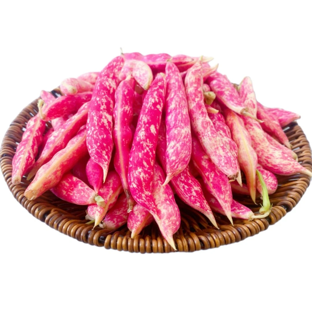 东北红金钩豆角辽宁新鲜豆角口感饱满皮薄豆大