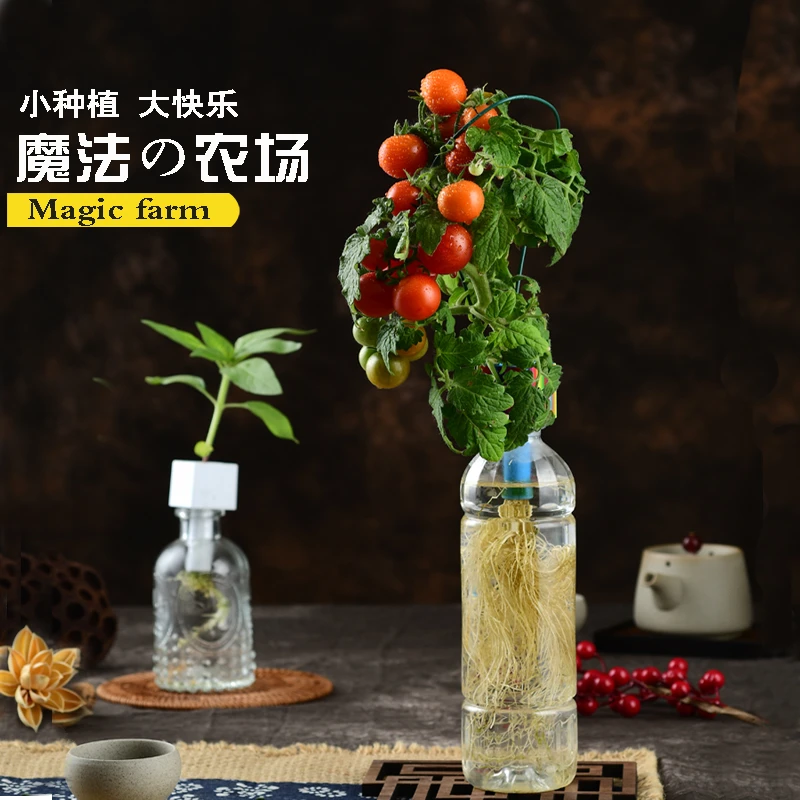 迷你新型瓶载无土栽培种植大全小盆栽懒人种植冷门小玩意创意玩具