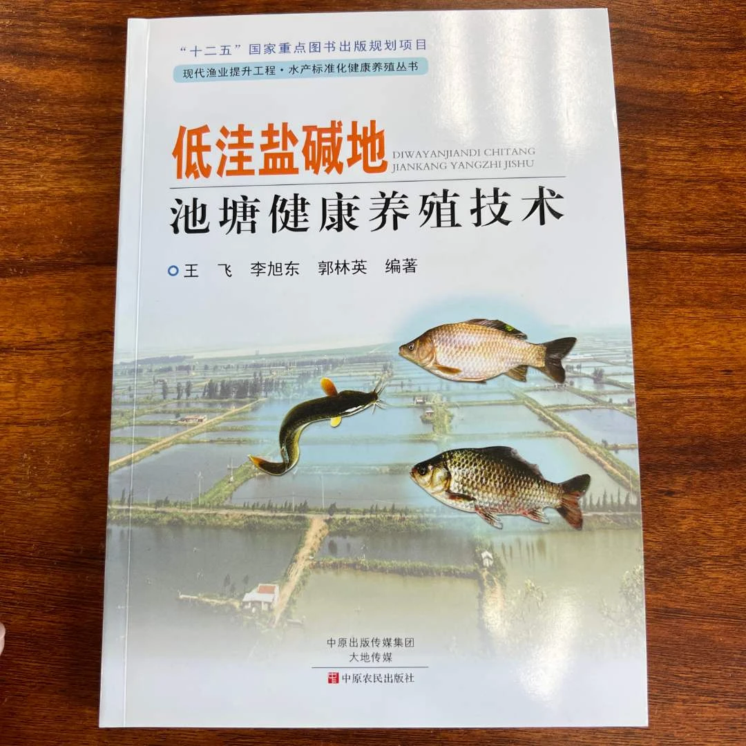 低洼盐碱地也可以养鱼！