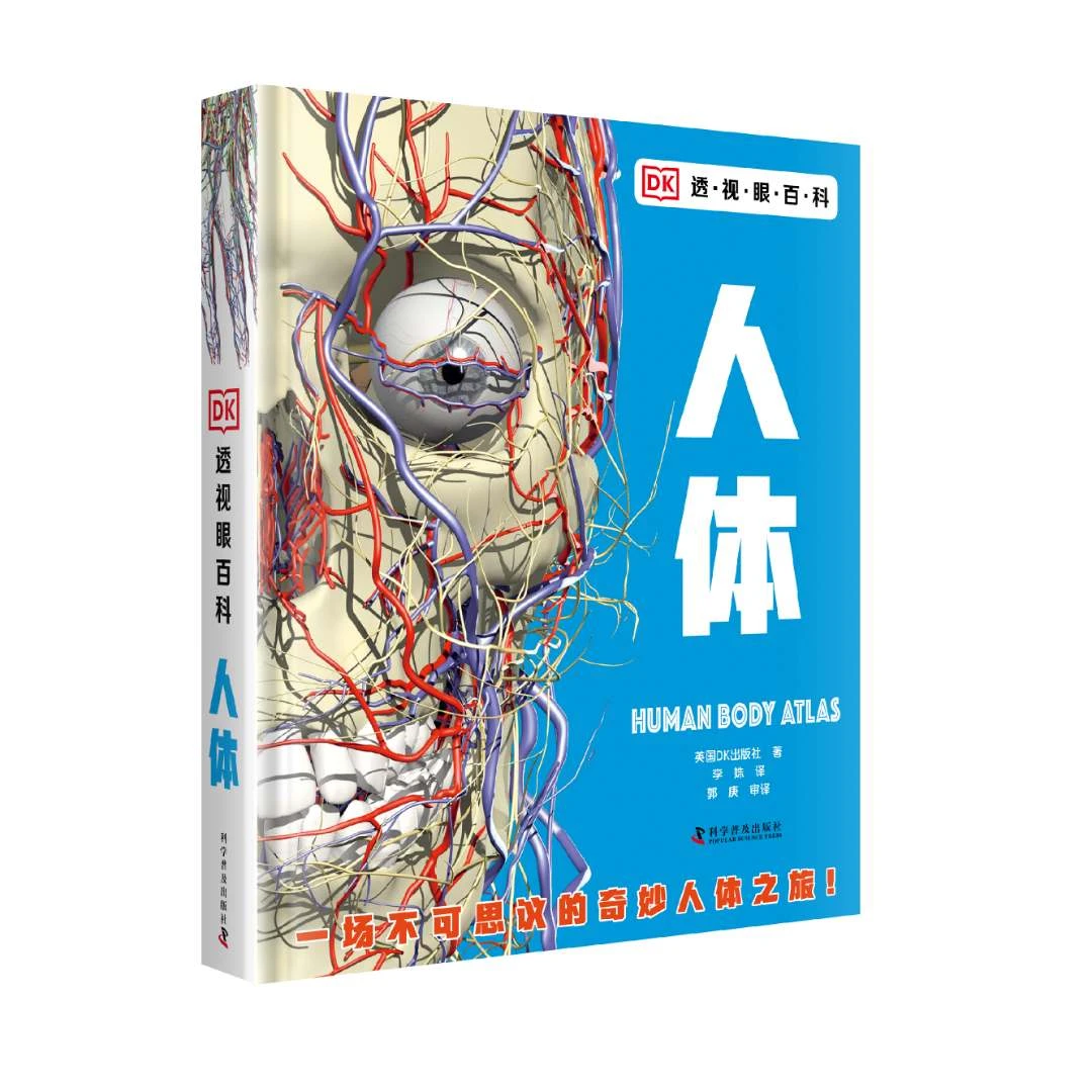 【出版社自营】DK透视眼百科：人体