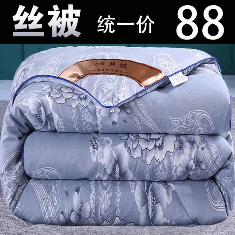 加厚被子冬被丝棉被太空被空调被春秋被冬季保暖被芯双人被褥特价