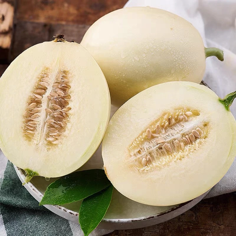 陕西阎良小籽甜瓜新鲜当季包邮5斤9斤产地直发水果生鲜香甜