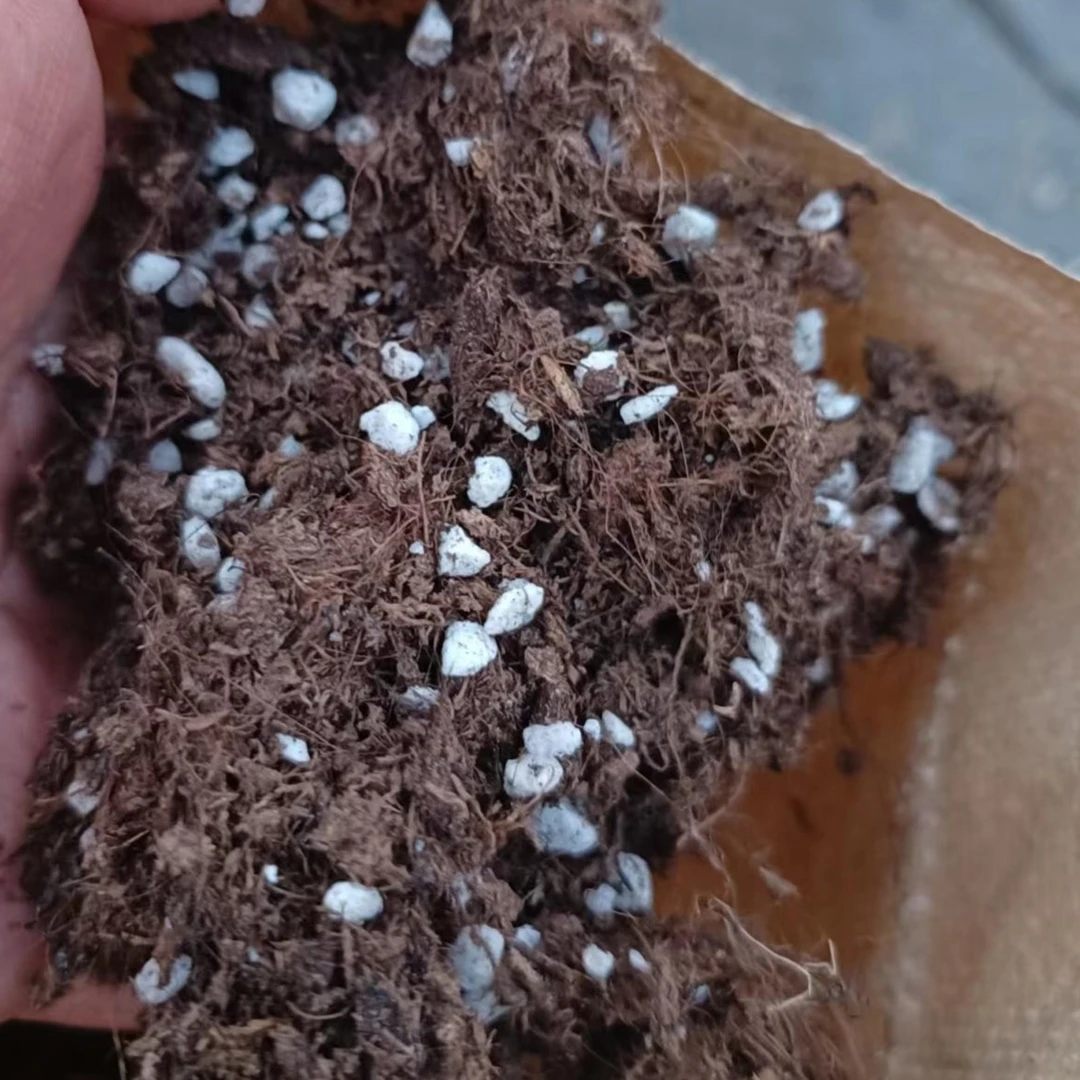 回收土福利土一包5斤