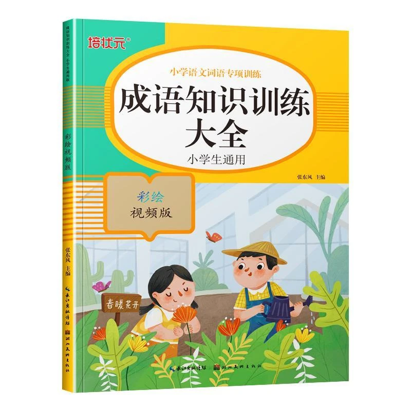 小学成语训练大全小学生版四字成语积累书注音aabb abab式词语大