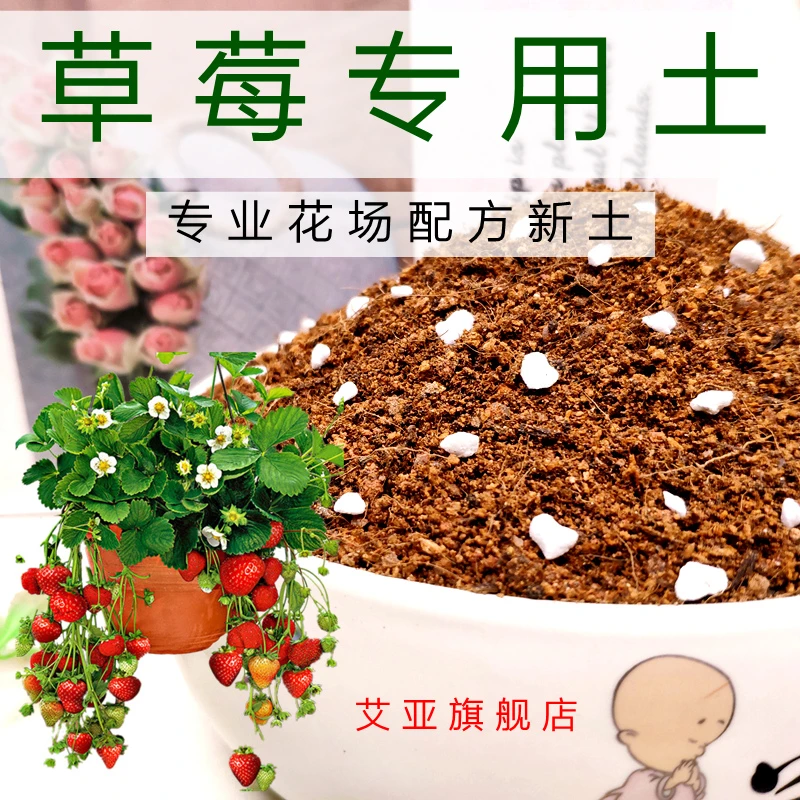 草莓专用土种菜土通用型营养土果树苗培植土透气不板结弱酸性精选