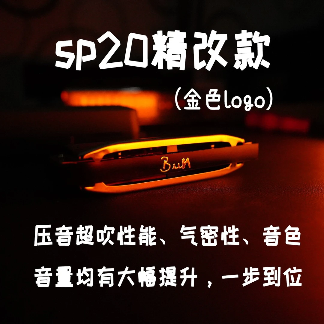 蓝馍馍专业定制sp20精品十孔蓝调口琴成品现货自学神器