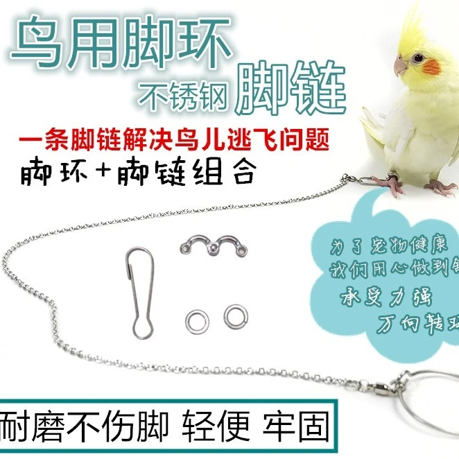 脚链不锈钢鸟链子虎皮八哥牡丹玄凤鸟站架鸟链用品鹦鹉脚链组合