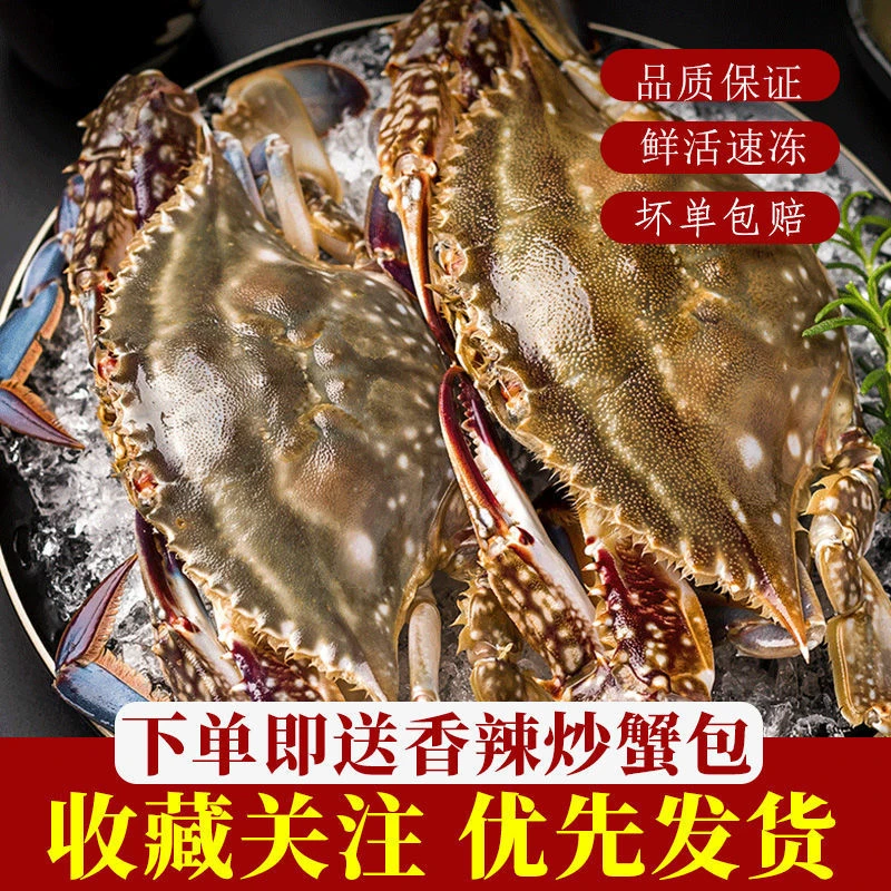 青岛活冻梭子蟹梭子蟹野生螃蟹公蟹母蟹500g