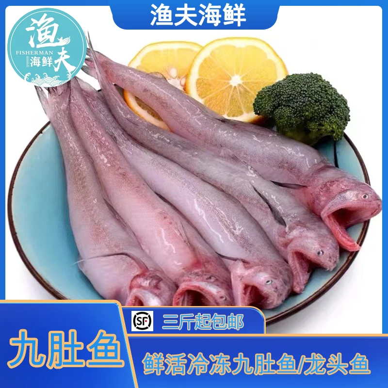 【渔夫与海】东海海捕 豆腐鱼龙头鱼九肚鱼 鲜活冷冻 4斤包邮