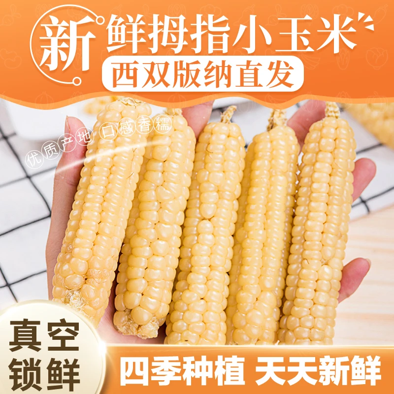 【雨林农夫】西双版纳拇指小玉米新鲜真空包装即食1斤/2斤糯玉米