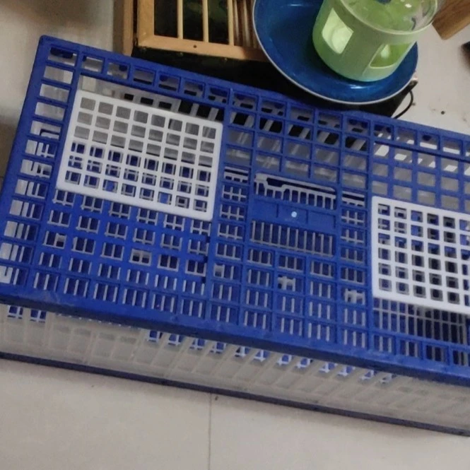 鸽子塑料不折叠训放笼干净鸽具加厚环保方便实用