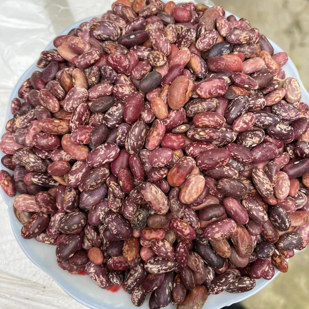 贵州遵义农家露天种植四季豆米花芸豆1斤包邮干货