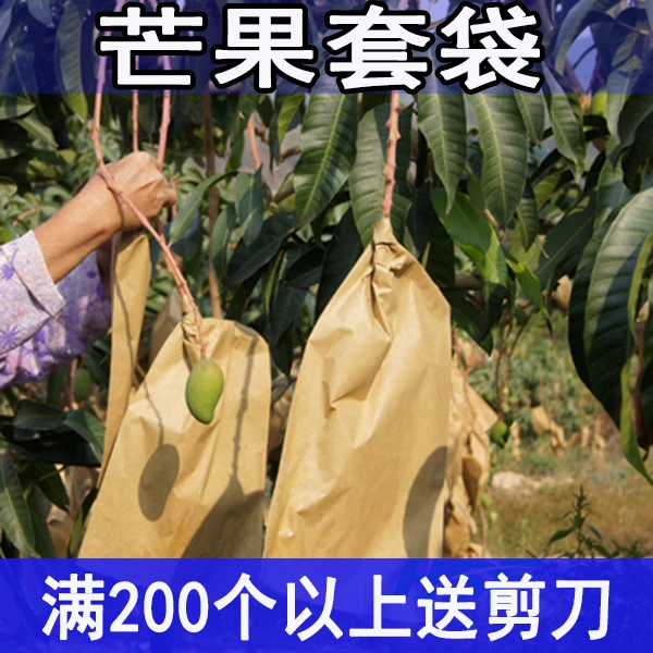 套芒果用纸袋芒果专用袋防病害防虫防鸟芒果袋子防雨水育果袋包邮